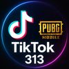 gaming.313.a