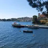 stefan_0318