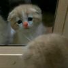 laaaaa_145