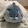sotory_riliko
