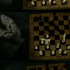 wt_ba