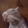 Filthyratgoblin
