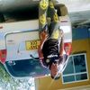 dully.b2