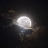 astronomy_obssesedkid
