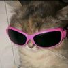 nadia_89690