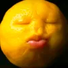wenzsolo2