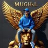 hamza_mughal_8688