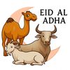 exc.fadhil2