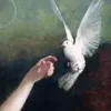 bno_savn