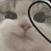 lilslovespink0