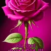 sandra.pires670