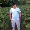 user682786515