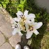 lea.schlr12