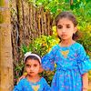 nivisanunivisanu