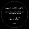 aseel_1721