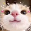 bsmala27