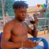 anslem.dan