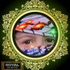 user509172704597