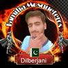 dildajani553