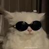 haaaaa3126