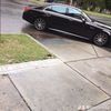 beedoe8033