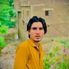 arman.jani1140