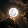 mohamedhammad8120