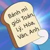honh524