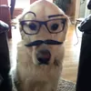 khoabsigma