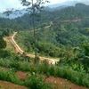alungalung283
