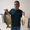 josefranciscopint236