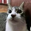 name