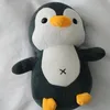 rayyannaveed98