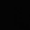 naig1002