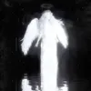 aurora_catn