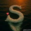 lolow491