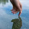 ko__hc
