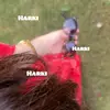.unluckyamyy