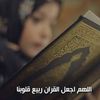 nourhan.hamdy329