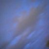 bloom_1.3