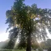 toprak.karali