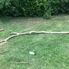 stick_nation_the1st