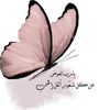 user79118132967632