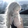 aseel_2324