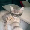 sumaya_738