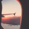 lylys_rara
