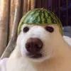 eerojyrkka