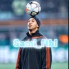 fuut_sami11