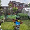 eden_home_gardeni