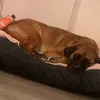 bellasessa_